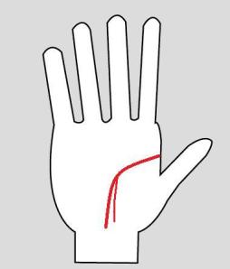 forked life line meaning in palmistry